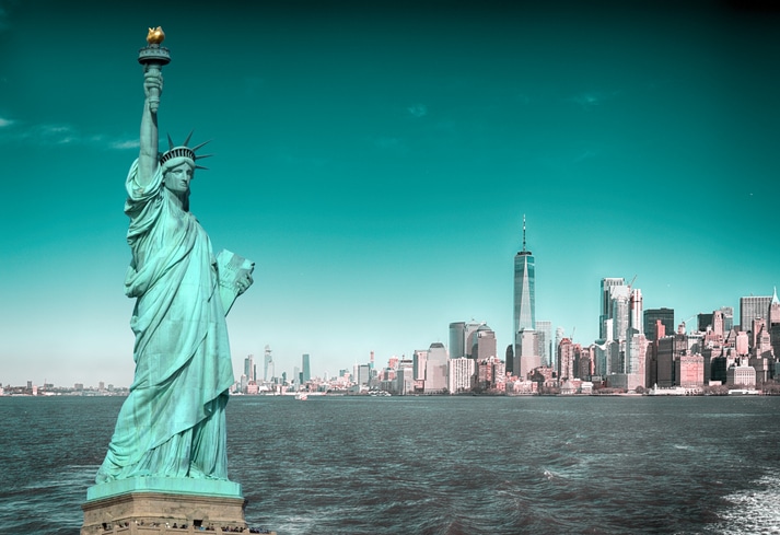 Statue of Liberty overlooking the New York City skyline, representing asylum and immigration law