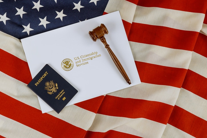 U.S. immigration law materials representing ICE detention and removal defense